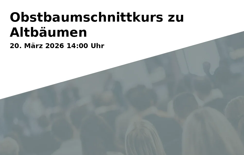 Obstbaumschnittkurs zu Altbäumen