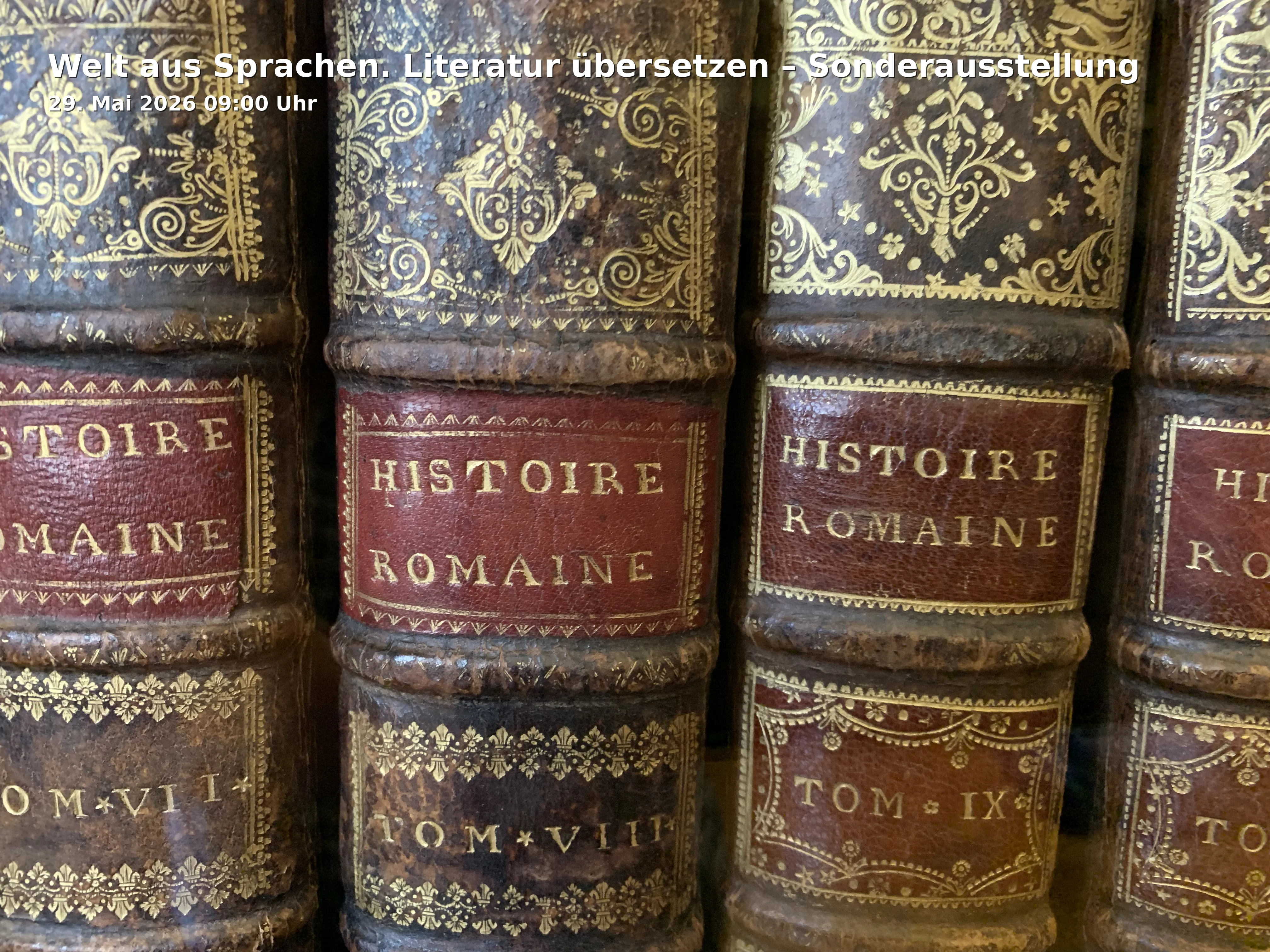 Event: Welt aus Sprachen. Literatur übersetzen – Sonderausstellung