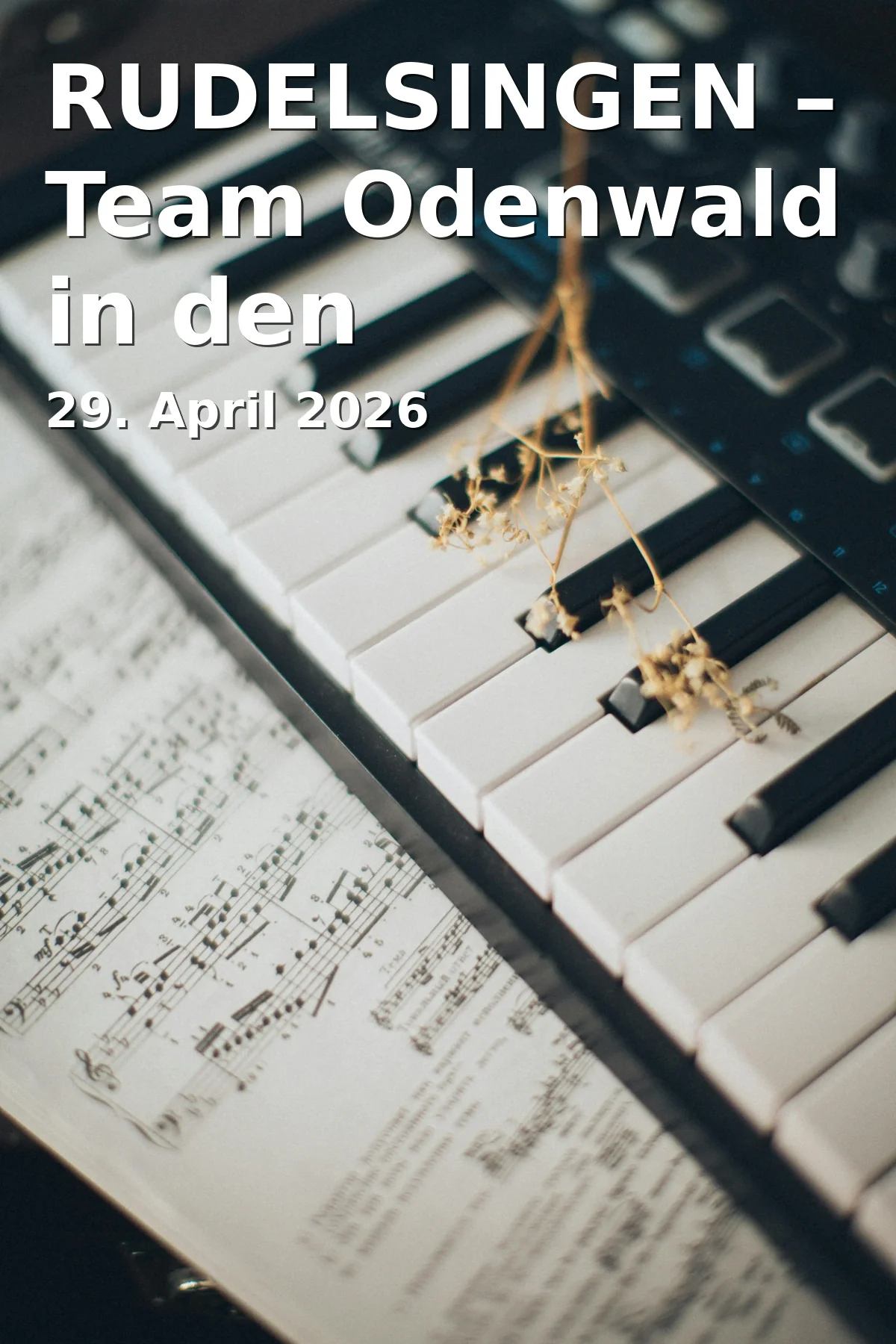 Event: RUDELSINGEN – Team Odenwald in the Kammerspiele in Ansbacher Kammerspiele, Maximilianstraße 27a/29, 91522 Ansbach on 29. April 2026