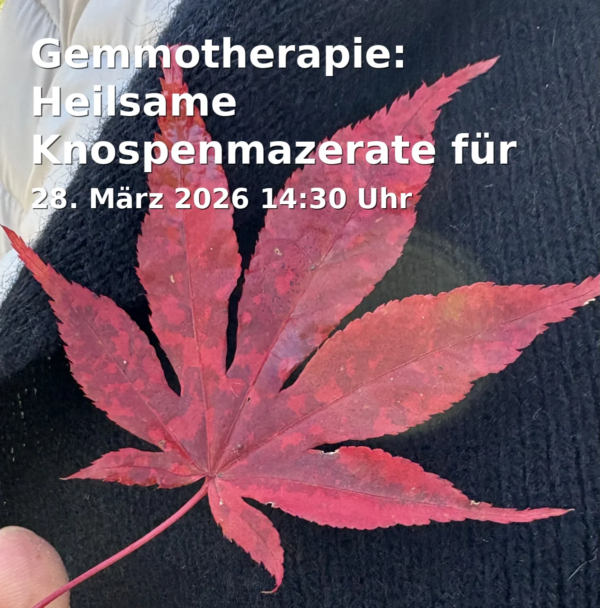 Gemmotherapy: Creating Healing Bud Extracts for Humans and Animals