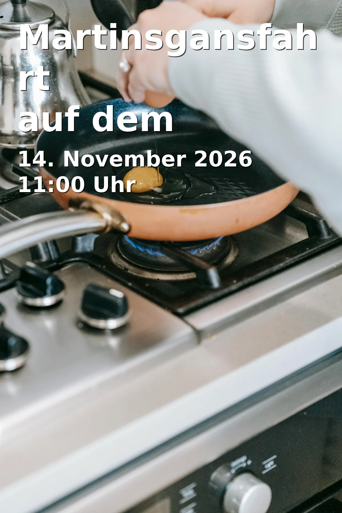 Event: Martinsgansfahrt auf dem Schweriner See