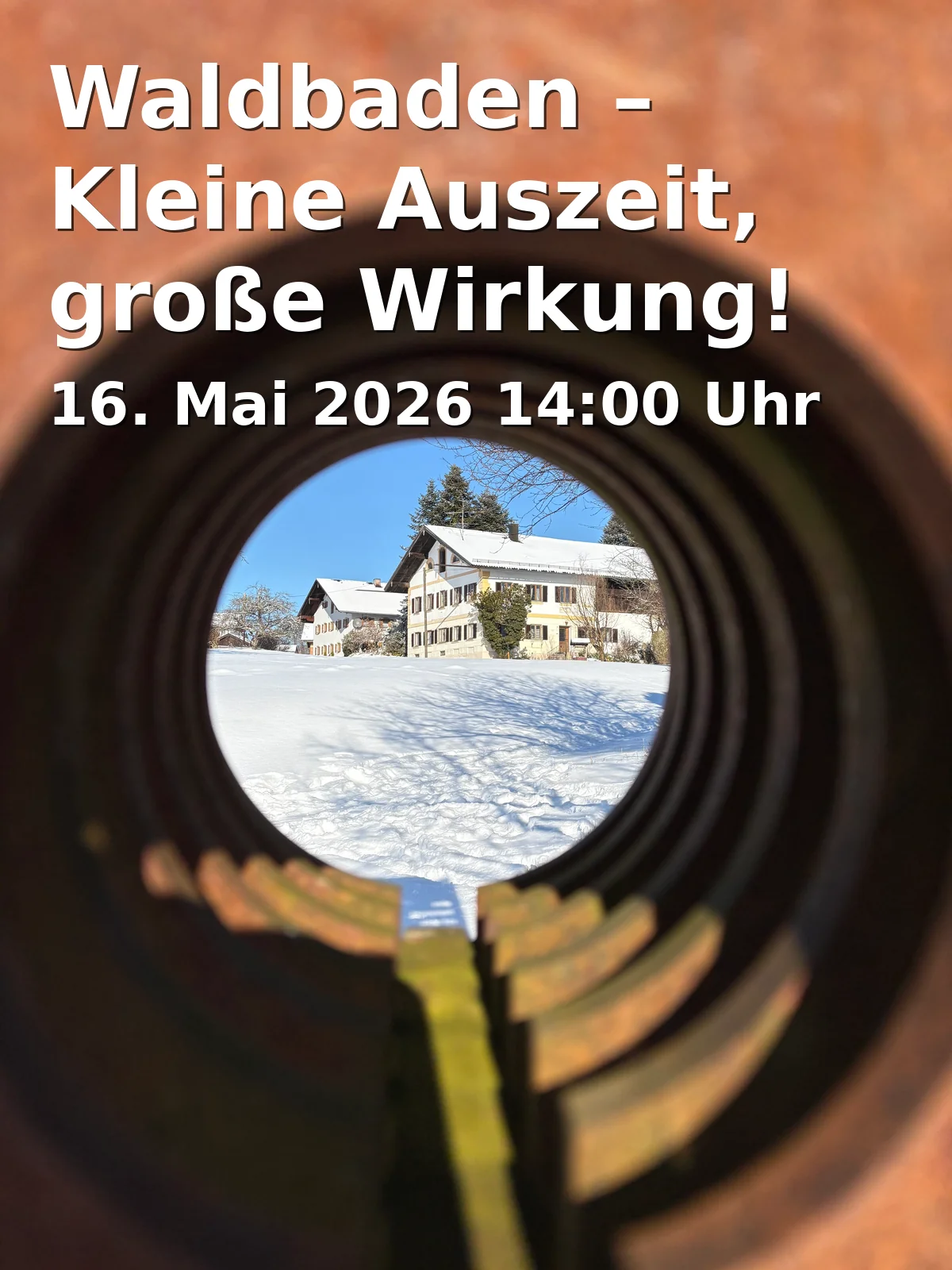 Event: Forest Bathing – A Small Break, Great Impact!