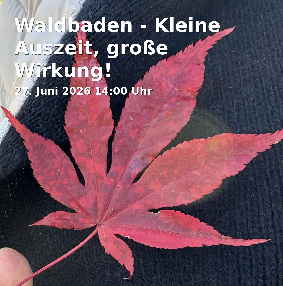 Event: Forest Bathing - A Small Break, Big Impact! in Wanderparkplatz am Ende der Venner Straße/Ecke Röttgener Weg, 53177 Bonn-Bad Godesberg on 27. June 2026