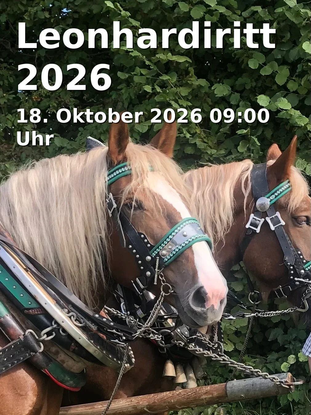 Event: Leonhardiritt 2026
