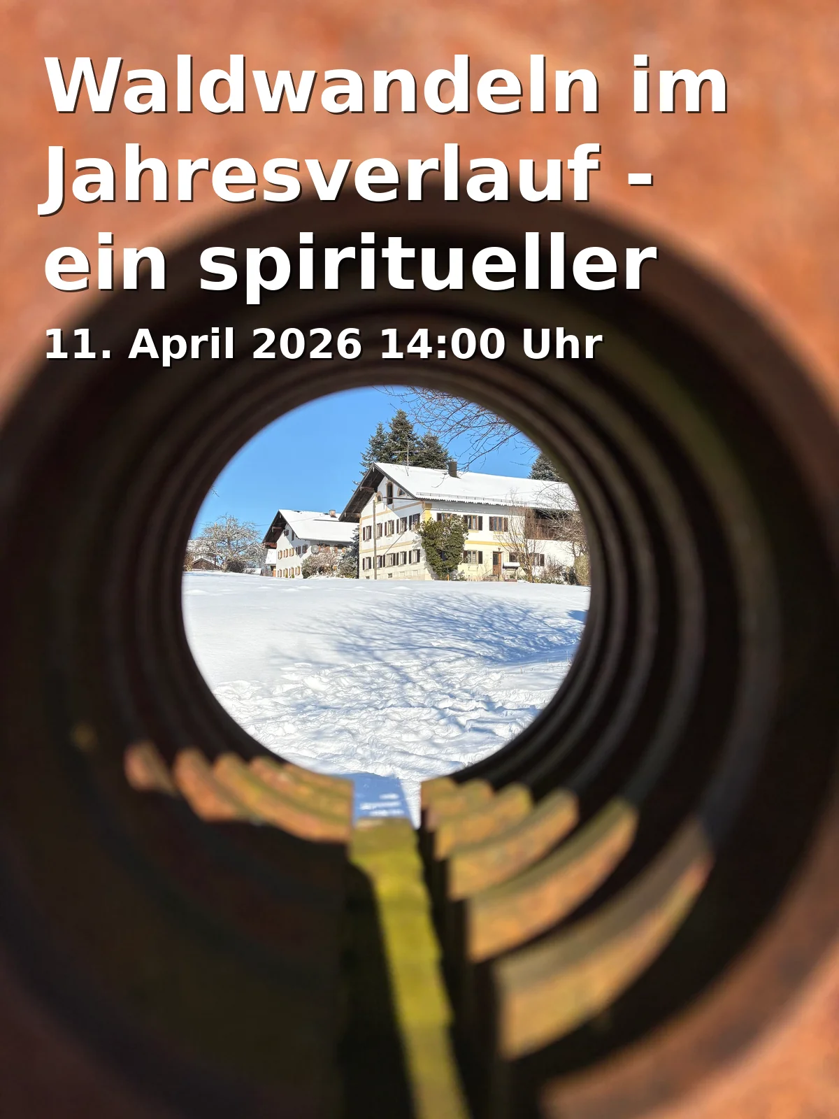 Walking in the Forest Throughout the Year - a Spiritual Forest Walk in Spring