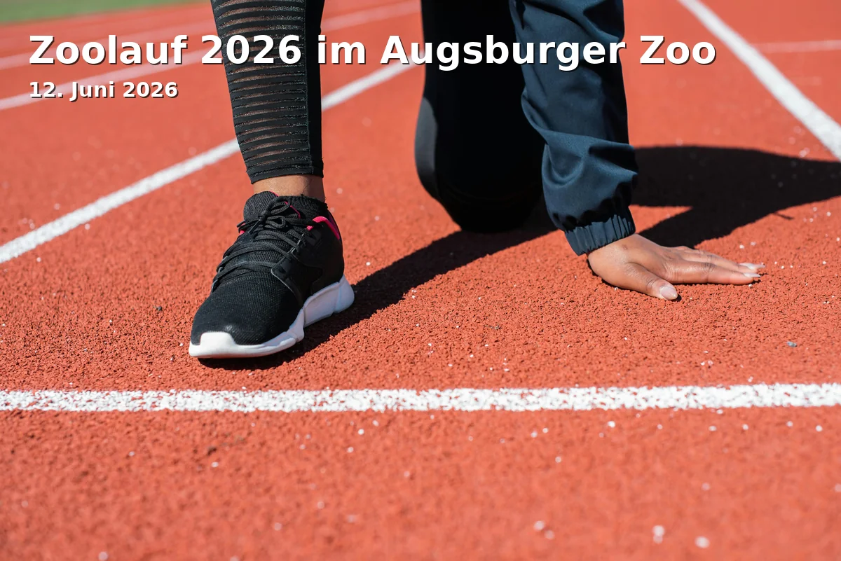 Event: Zoolauf 2026 im Augsburger Zoo