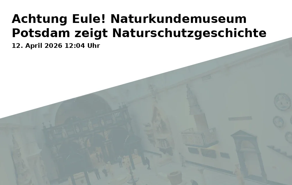 Event: Attention Owl! Natural History Museum Potsdam Shows Conservation History