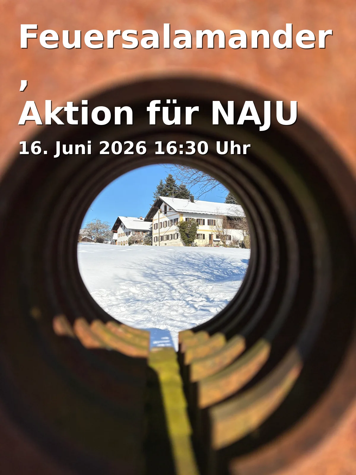 Event: Feuersalamander, Aktion für NAJU Kinder