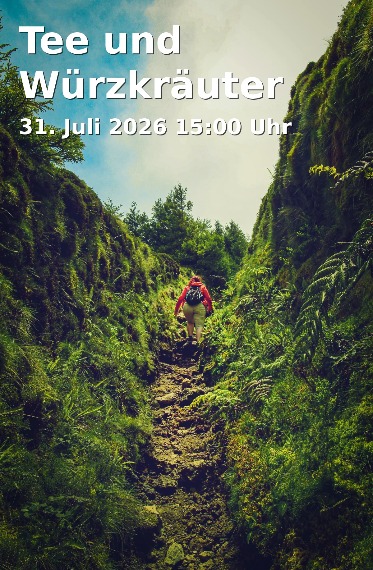 Event: Tee und Würzkräuter in Brunnbergstraße 2, 95493 Bischofsgrün on 31. Juli 2026