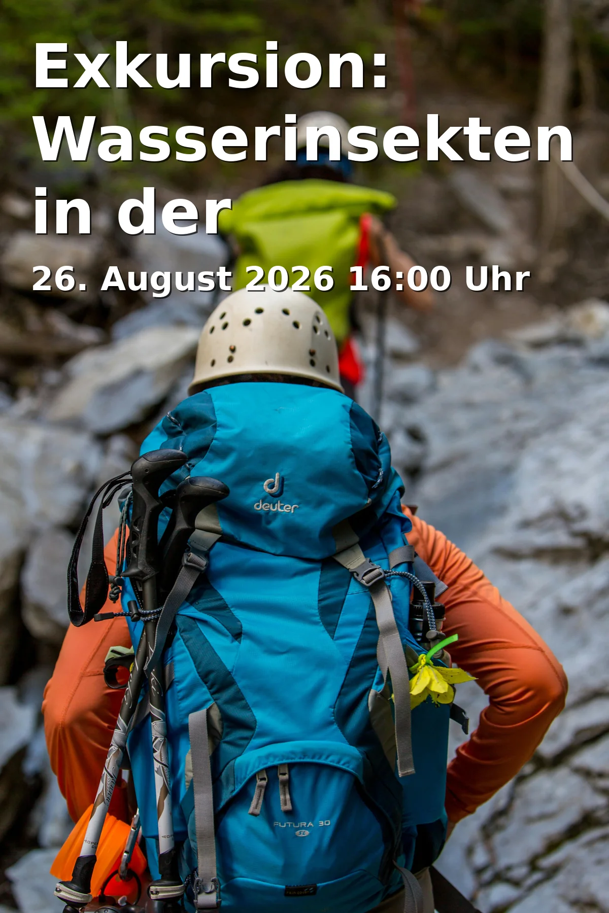 Event: Excursion: Aquatic Insects in the Wilhelminenaue