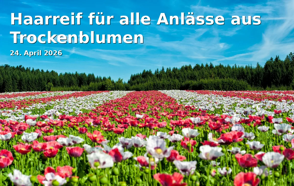 Hairband for All Occasions Made of Dried Flowers