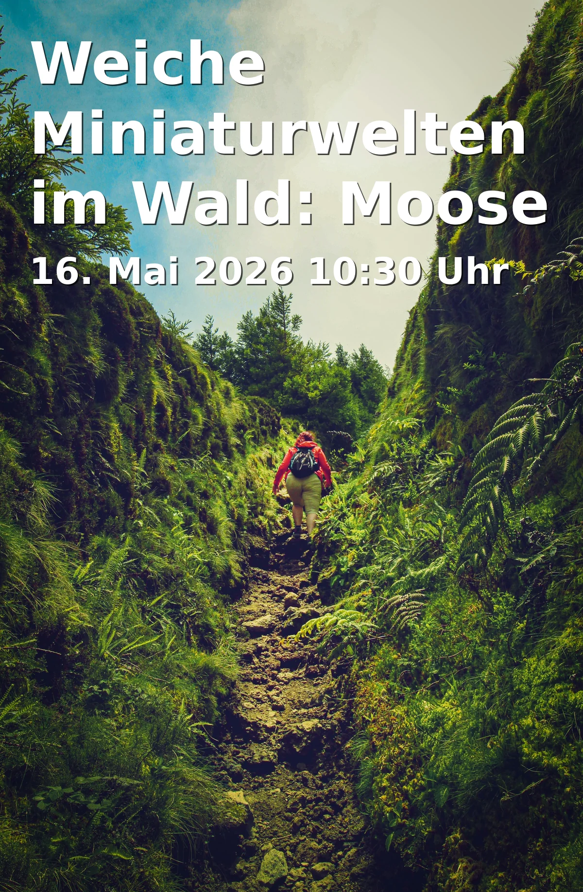 Event: Weiche Miniaturwelten im Wald: Moose
