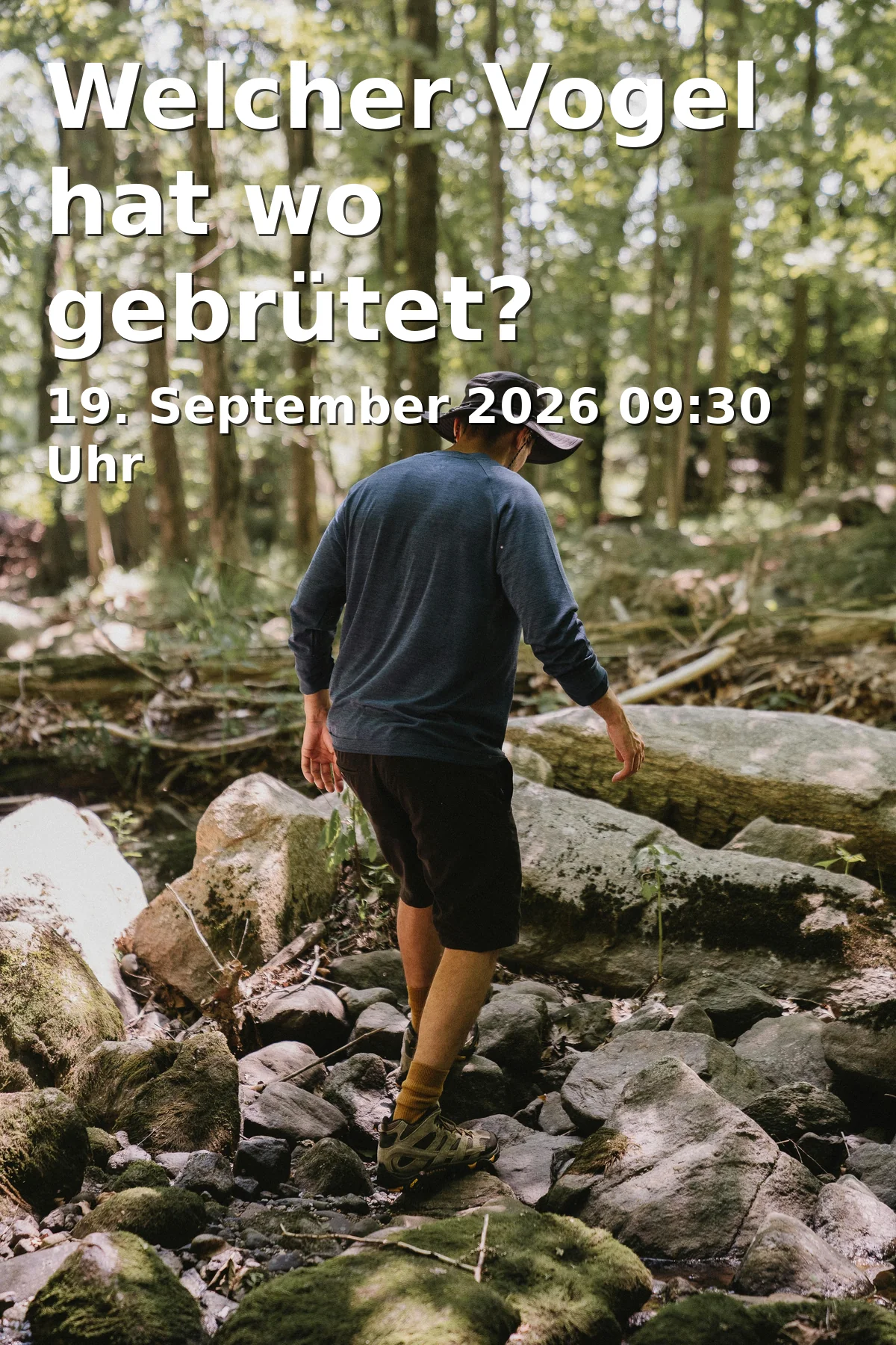 Event: Welcher Vogel hat wo gebrütet?