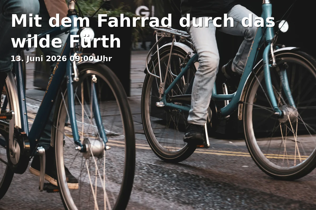 Biking Through Wild Fürth