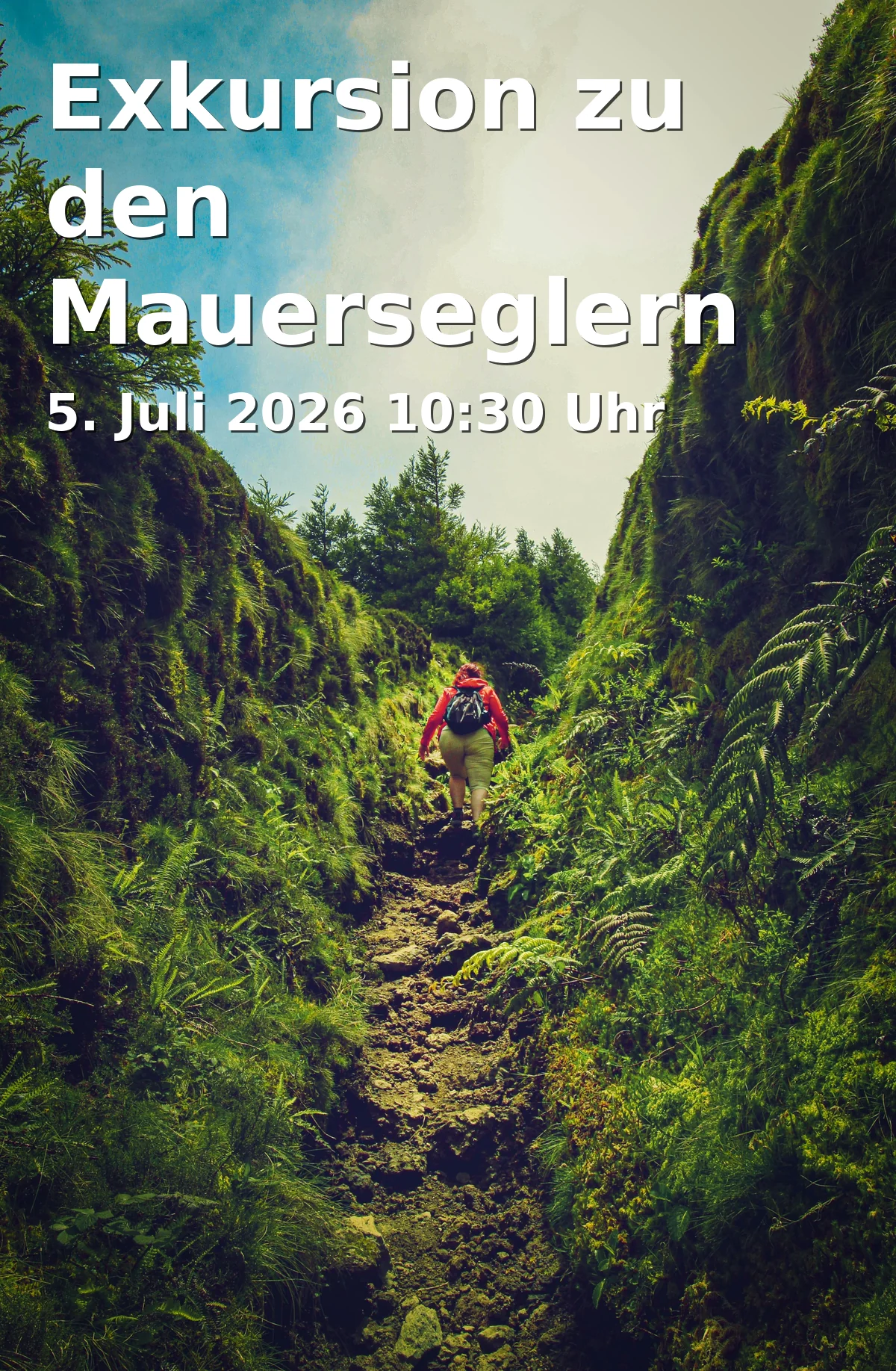Event: Exkursion zu den Mauerseglern und Schwalben in Fürth Hauptbahnhof - Busbahnhof, Bahnhofplatz, 90762 Fürth on 5. Juli 2026