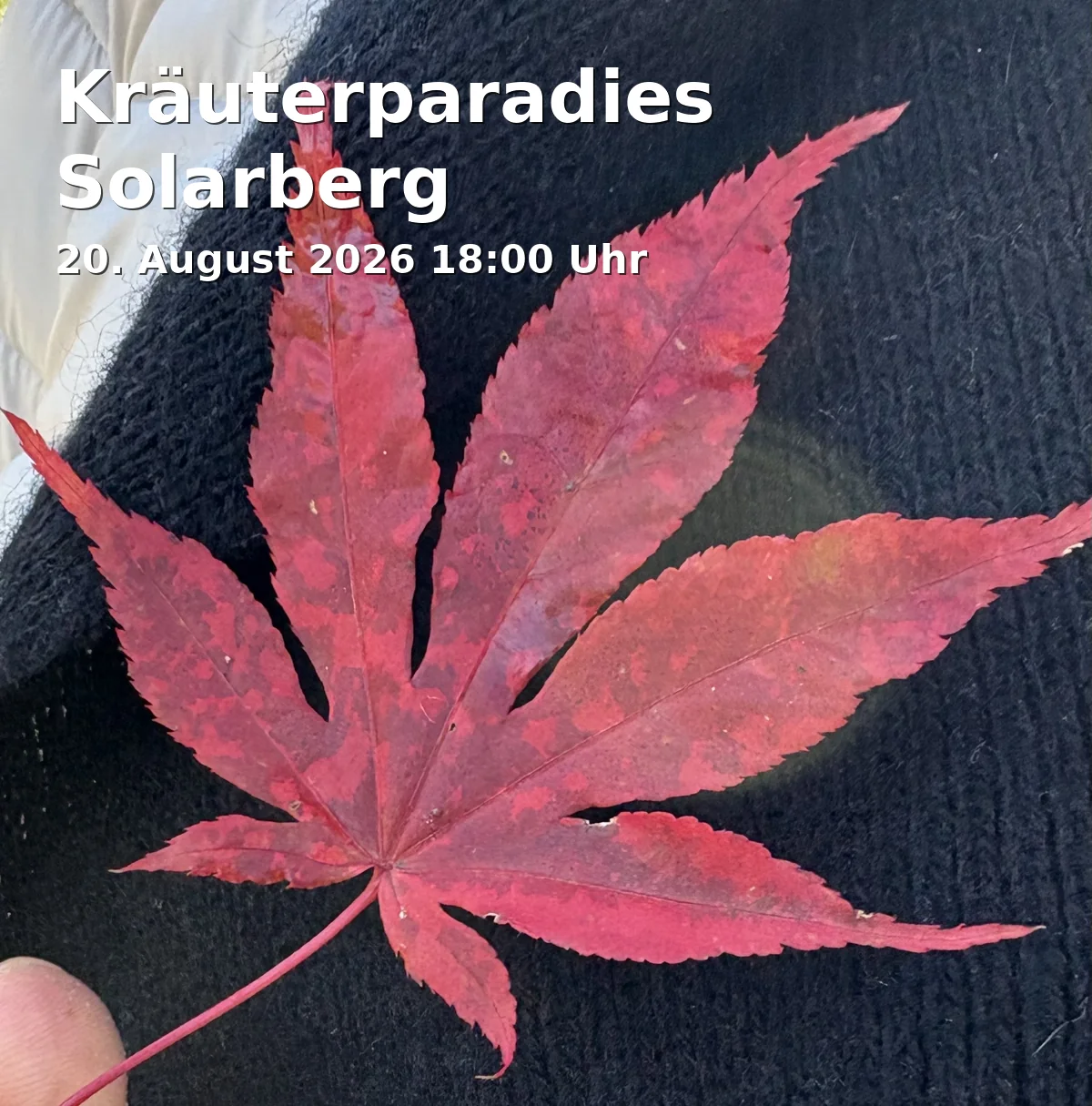 Herb Paradise Solarberg
