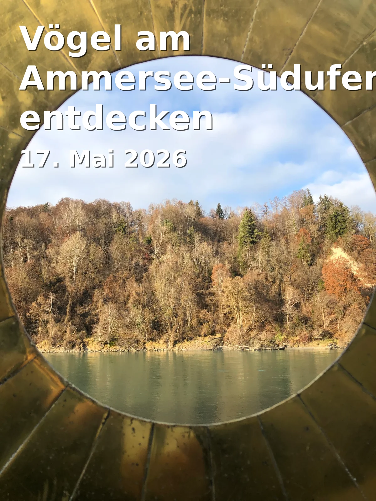 Event: Discover Birds at the Southern Shore of Lake Ammer