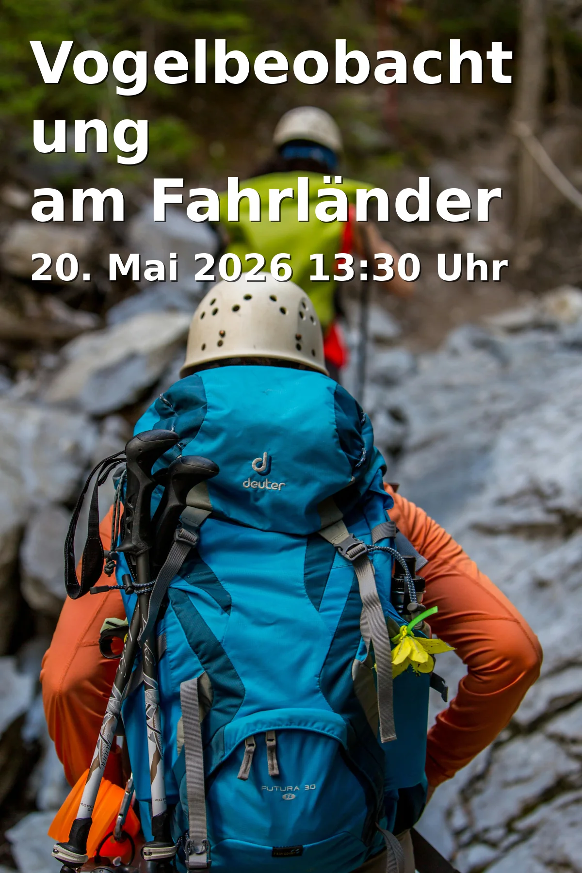 Event: Bird Watching at Fahrländer See (Additional Date)