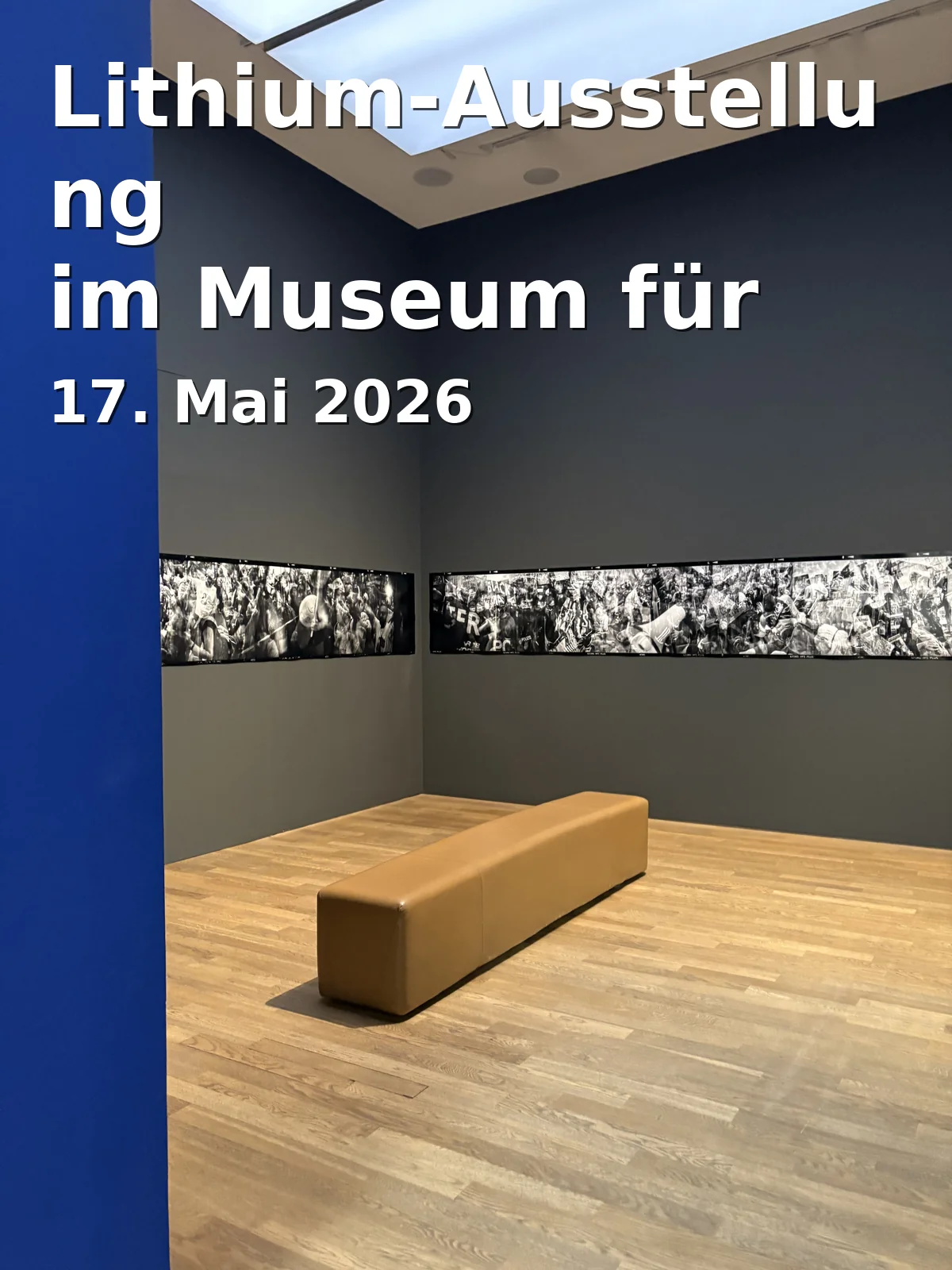 Event: Lithium Exhibition at the Natural History Museum