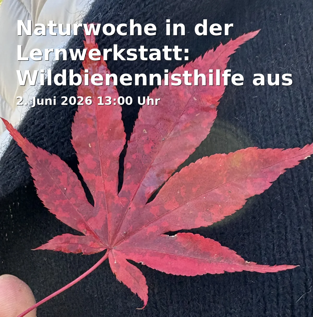Event: Nature Week in the Learning Workshop: Wild Bee Nesting Aid from Paper Tubes