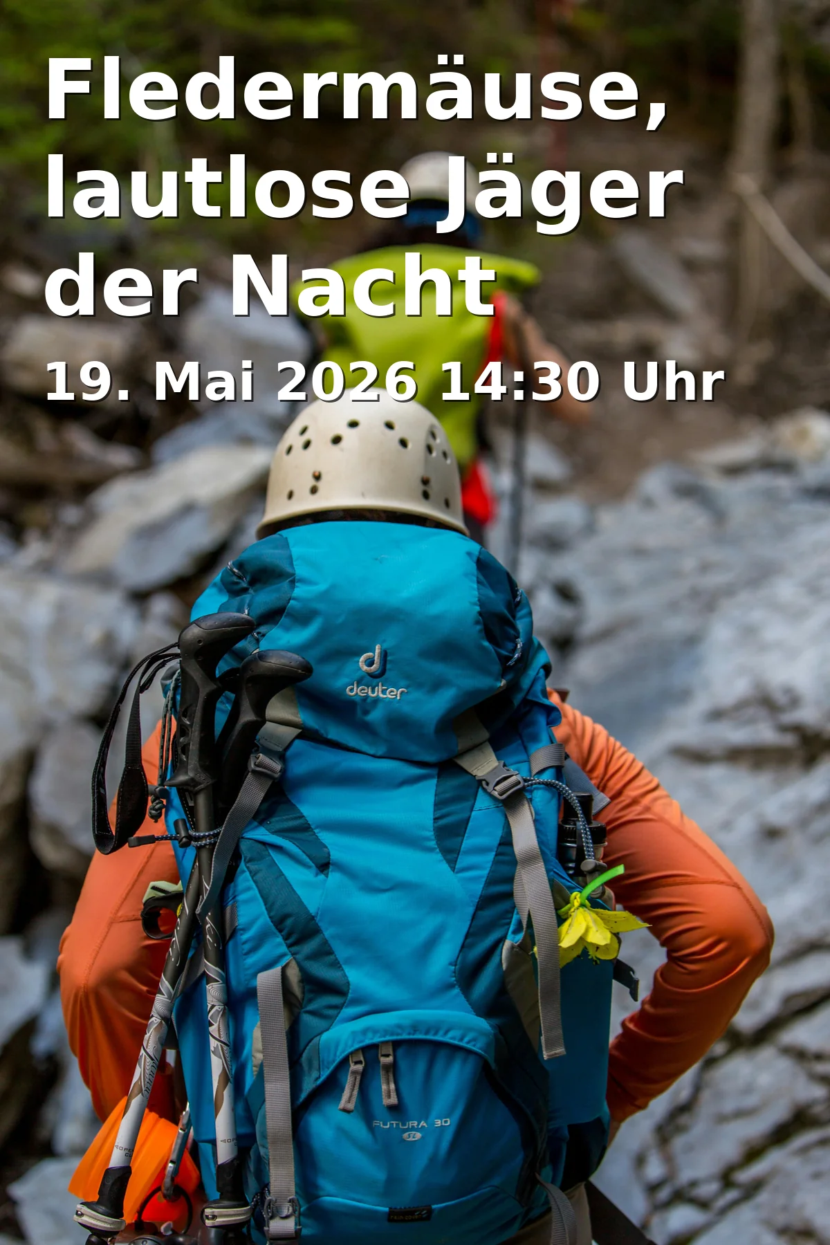 Event: Bats, Silent Hunters of the Night