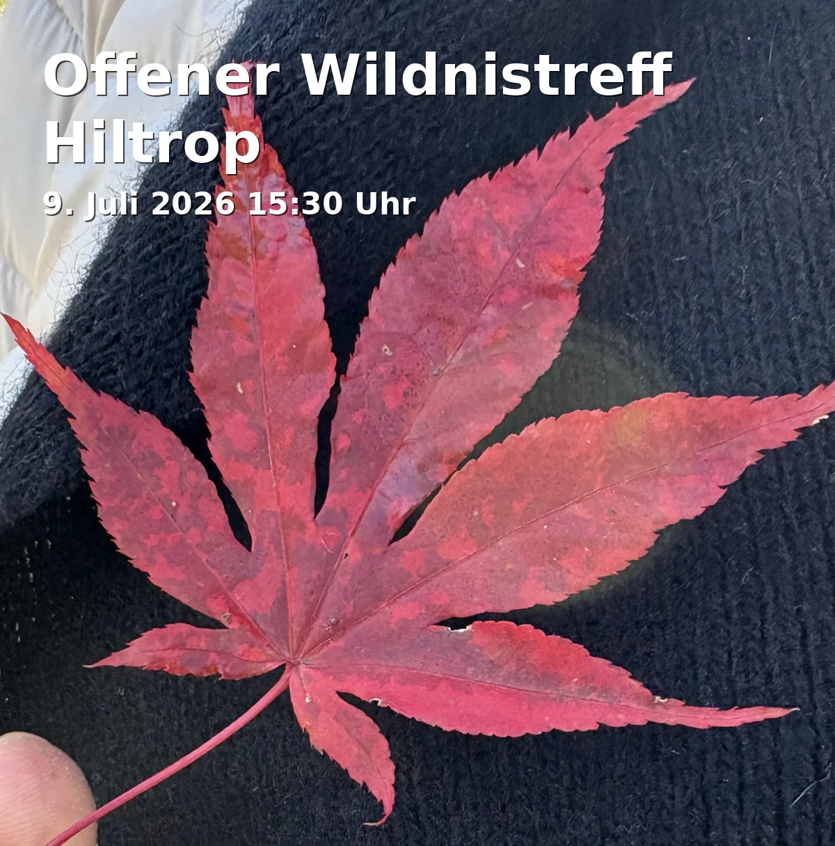 Event: Offener Wildnistreff Hiltrop