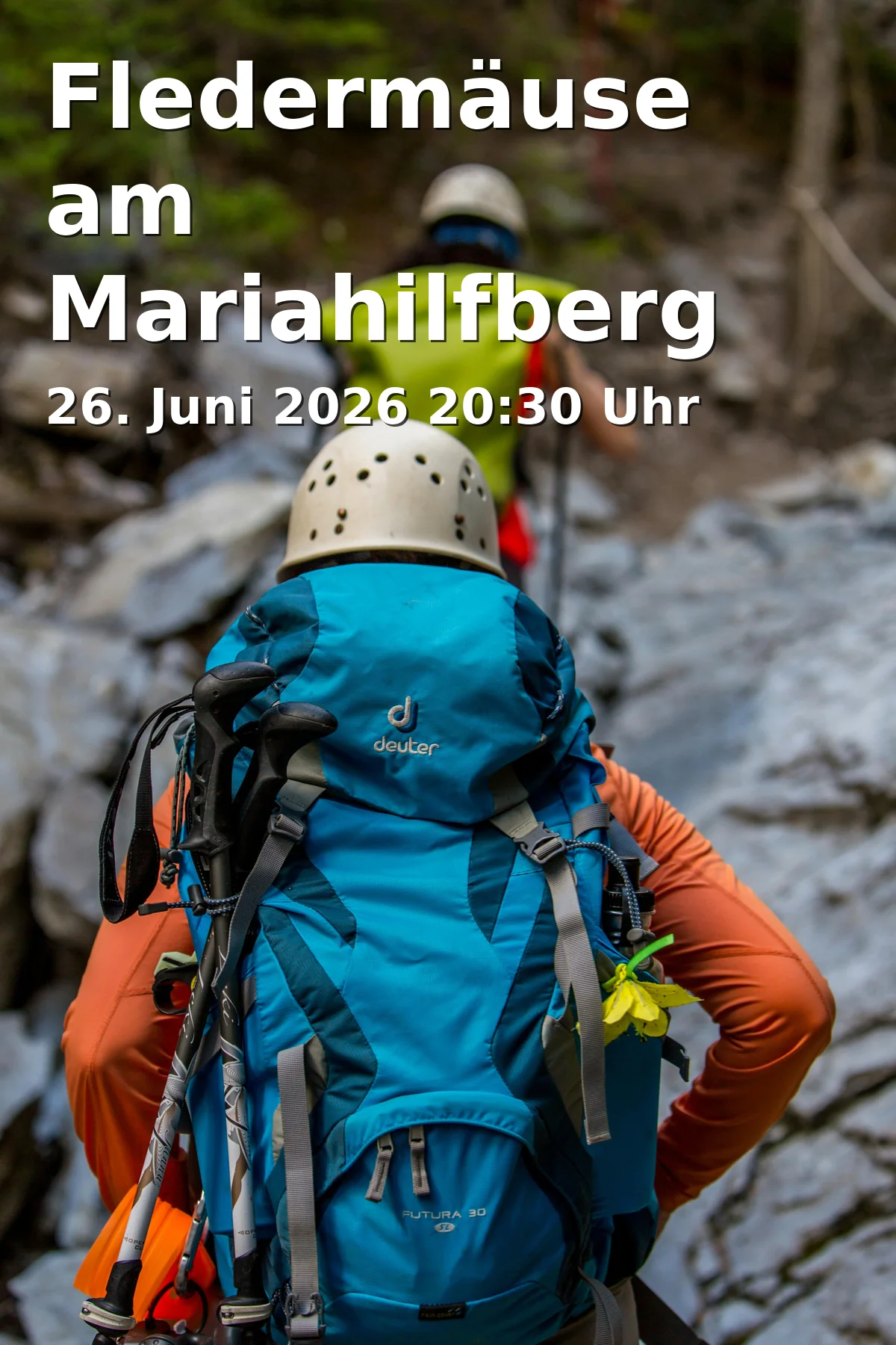 Event: Bats at Mariahilfberg