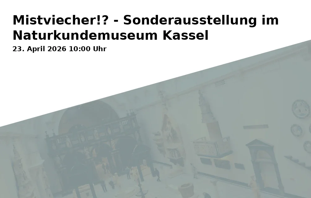 Event: Creatures of Fear!? - Special Exhibition at the Natural History Museum Kassel in Naturkundemuseum im Ottoneum, Steinweg 2, 34117 Kassel on 23. April 2026