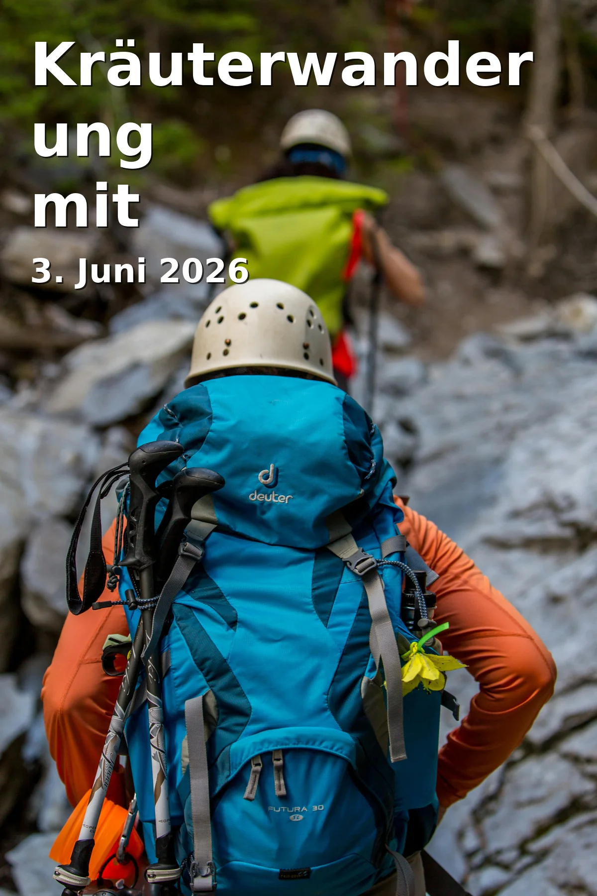 Event: Kräuterwanderung mit Chiemseeblick in Chieming