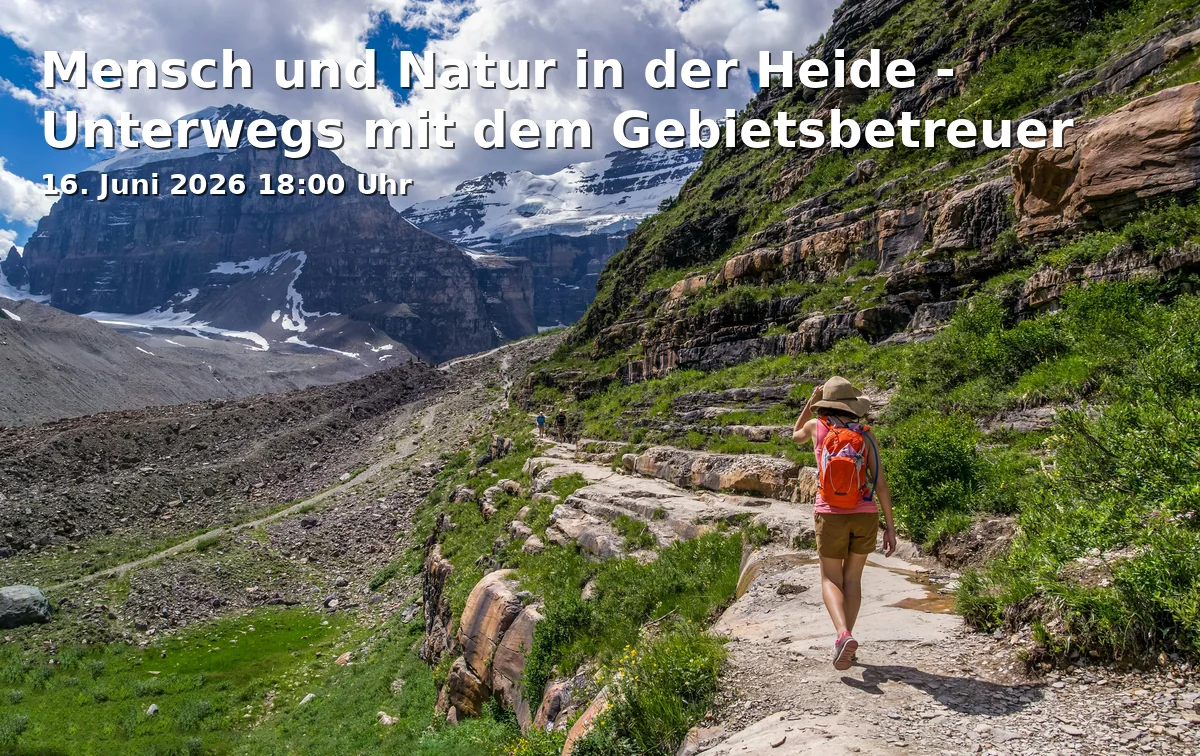 Event: Mensch und Natur in der Heide - Unterwegs mit dem Gebietsbetreuer