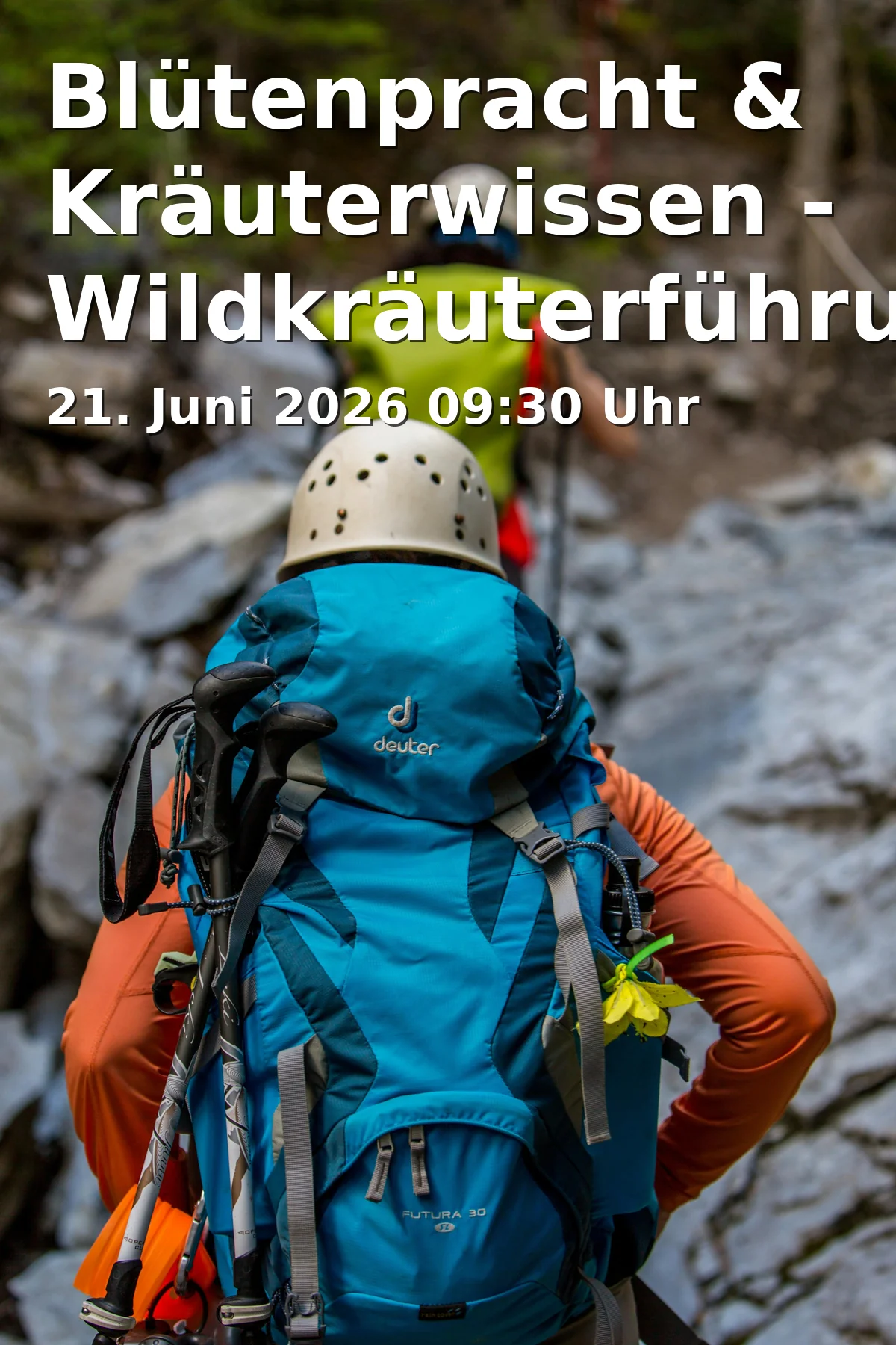 Event: Blütenpracht & Kräuterwissen - Wildkräuterführung im Sommer
