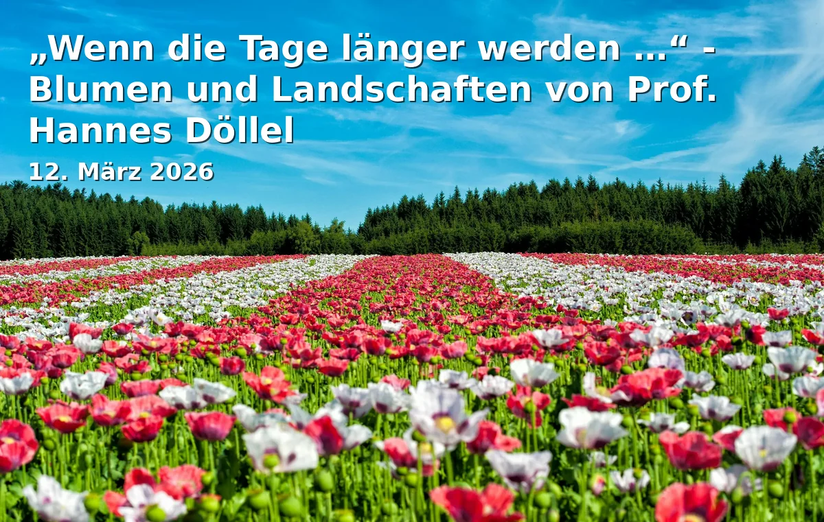 Event: „Wenn die Tage länger werden …“ - Blumen und Landschaften von Prof. Hannes Döllel