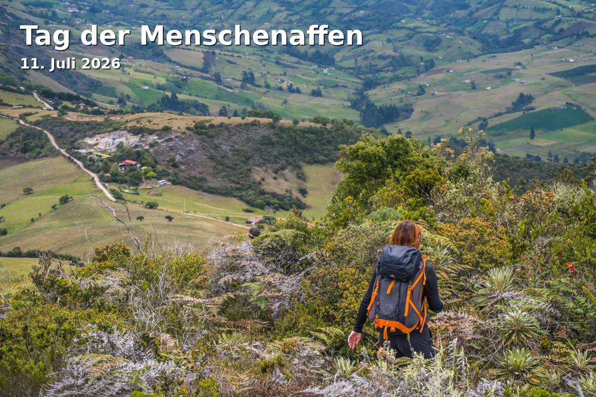 Event: Tag der Menschenaffen