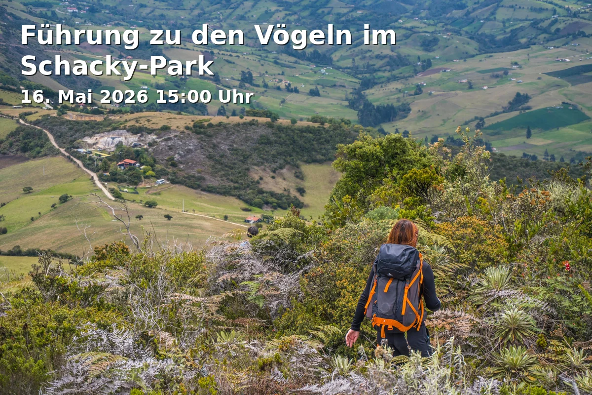Event: Bird Walk in Schacky Park