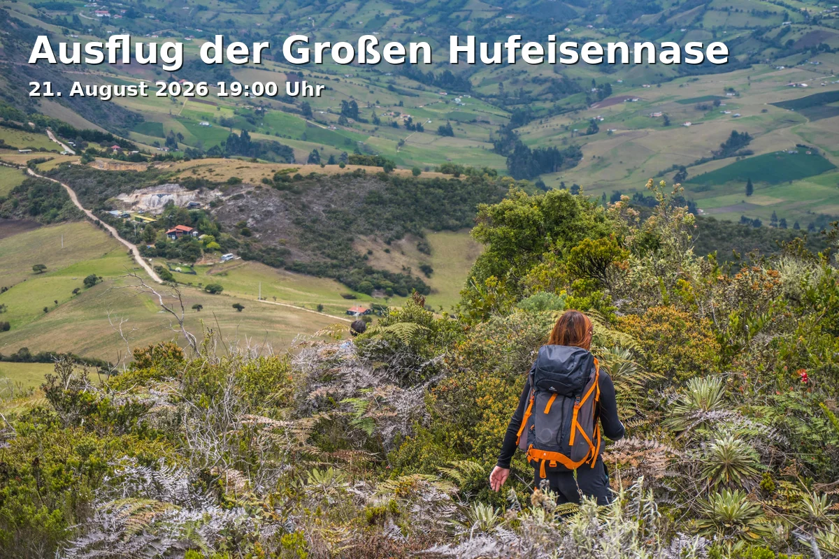 Event: Ausflug der Großen Hufeisennase