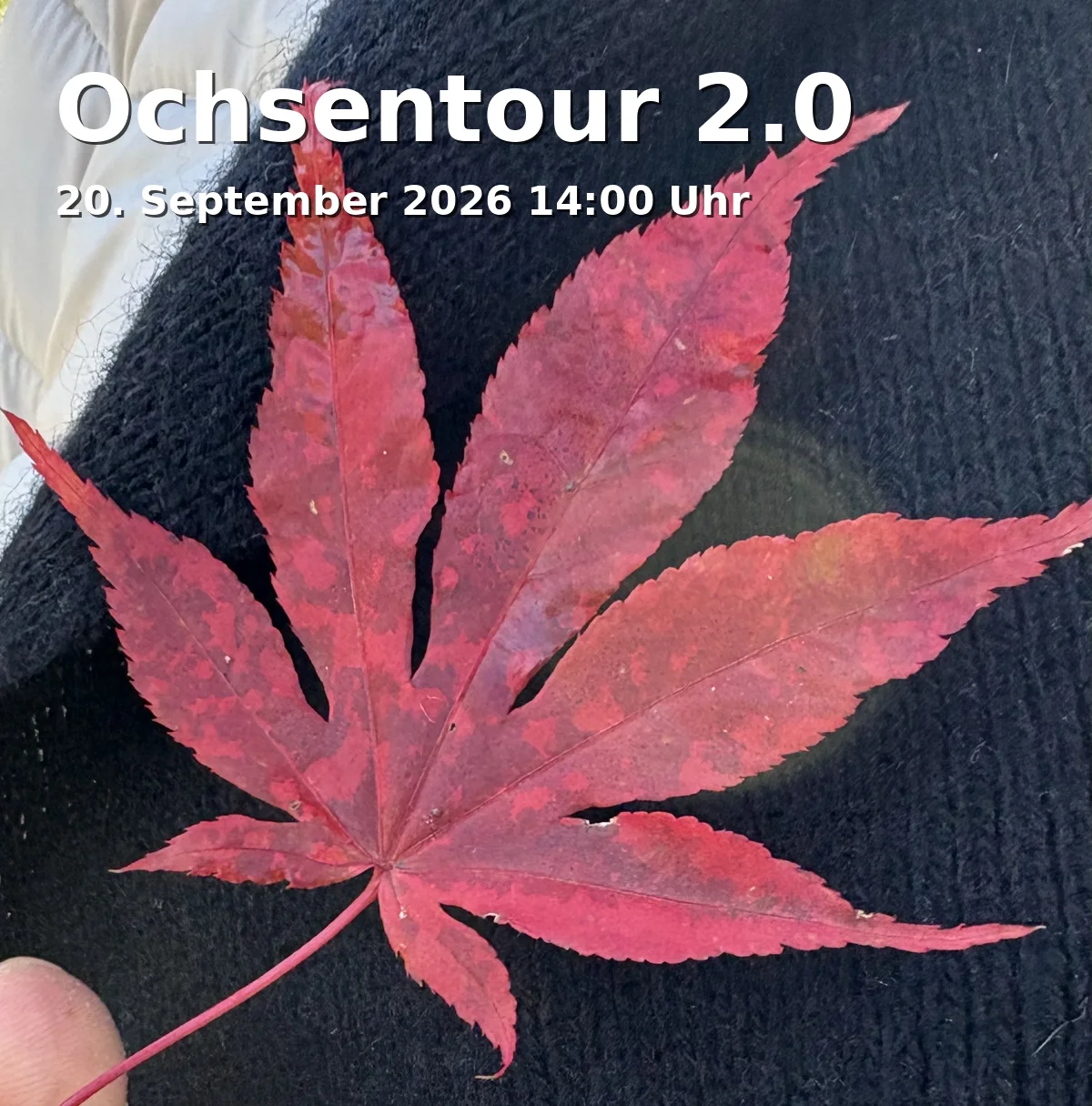 Event: Ochsentour 2.0