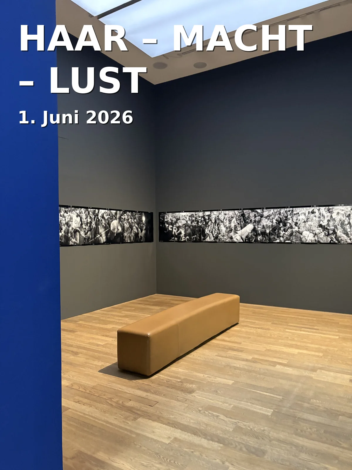 Event: HAIR – POWER – DESIRE in Kunsthalle München, Theatinerstr. 8, 80333 München on 1. June 2026