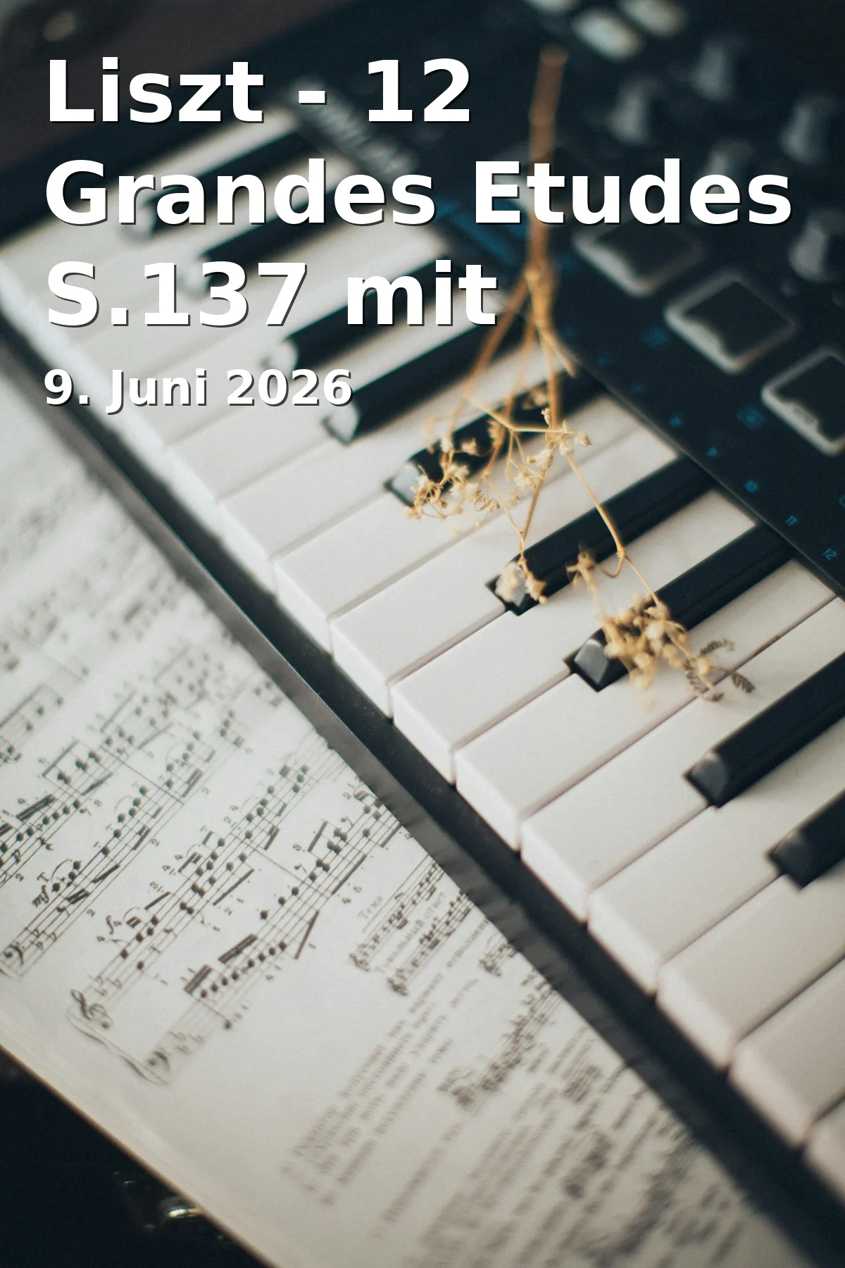 Event: Liszt - 12 Grandes Etudes S.137 mit Aurelia Visovan