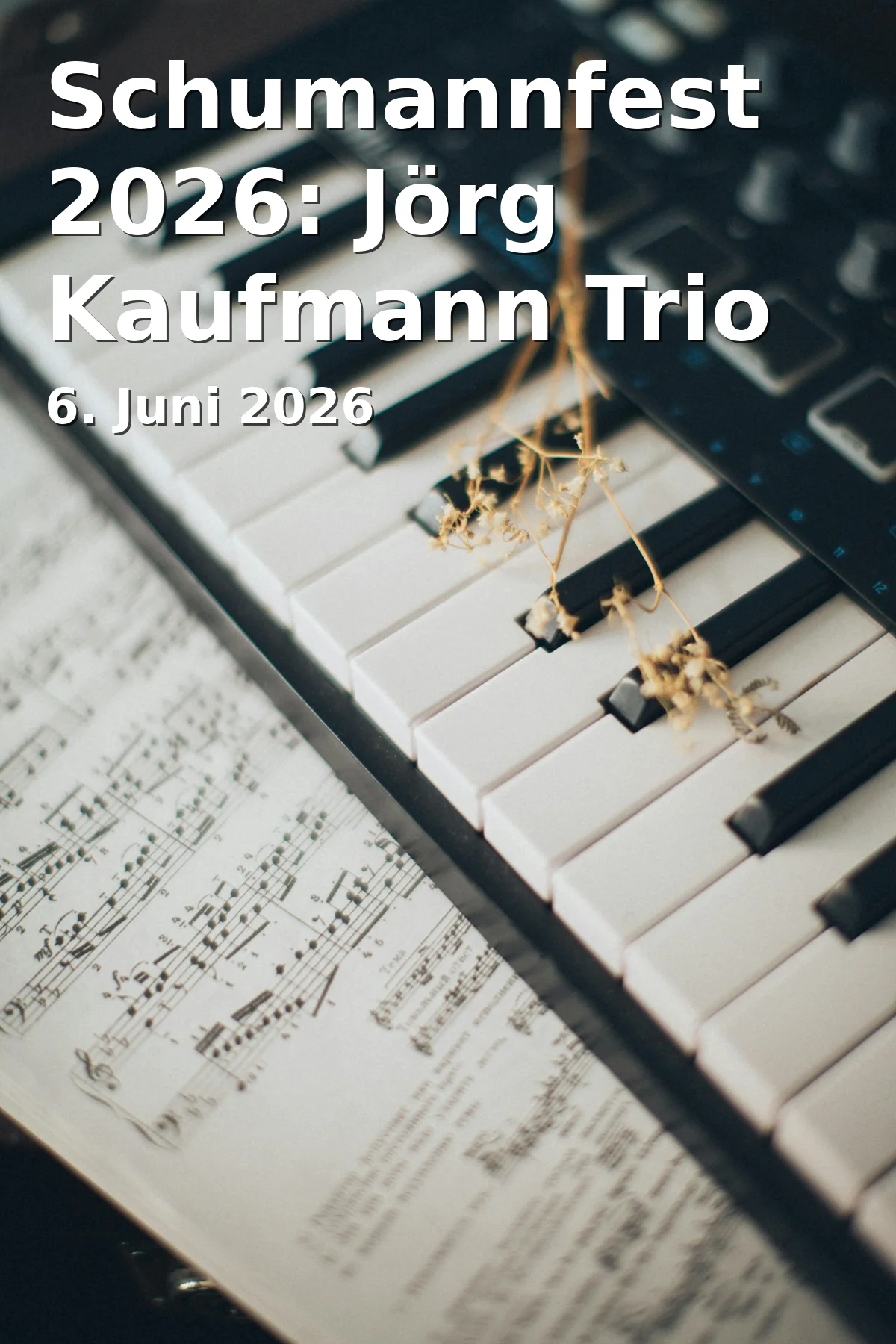 Event: Schumannfest 2026: Jörg Kaufmann Trio