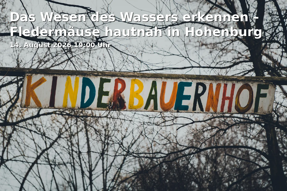 Event: Das Wesen des Wassers erkennen – Fledermäuse hautnah in Hohenburg