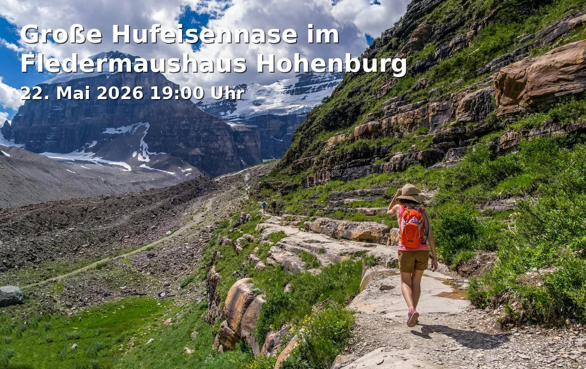 Event: Große Hufeisennase im Fledermaushaus Hohenburg in Fledermaushaus Hohenburg, Marktplatz 32, 92277 Hohenburg on 22. Mai 2026