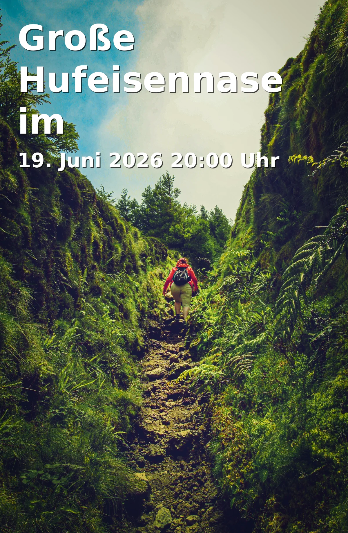Event: Große Hufeisennase im Fledermaushaus Hohenburg