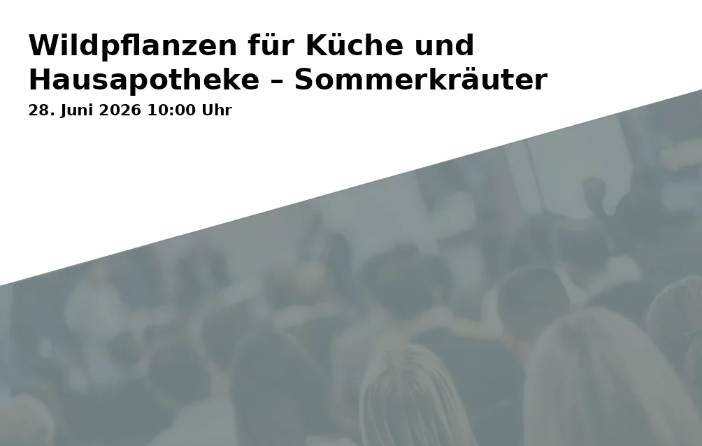Event: Wildpflanzen für Küche und Hausapotheke – Sommerkräuter