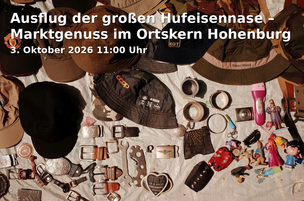 Event: Excursion of the Large Horseshoe Bat – Market Enjoyment in the Center of Hohenburg