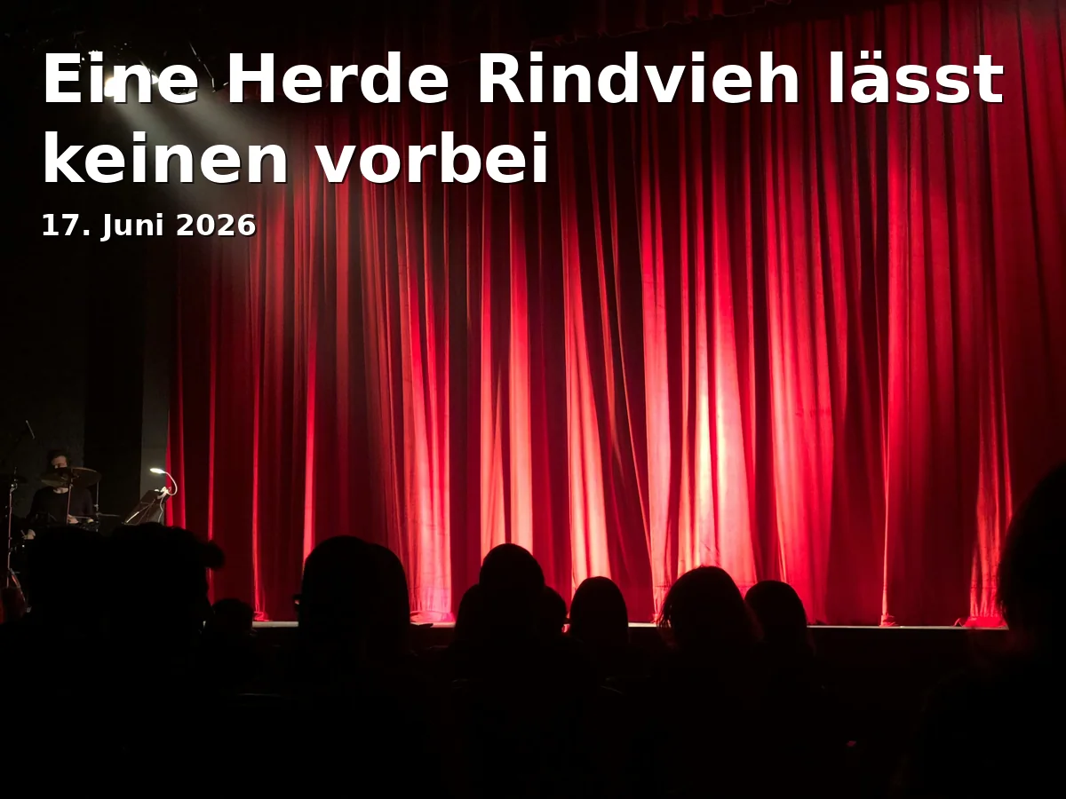 Event: Eine Herde Rindvieh lässt keinen vorbei