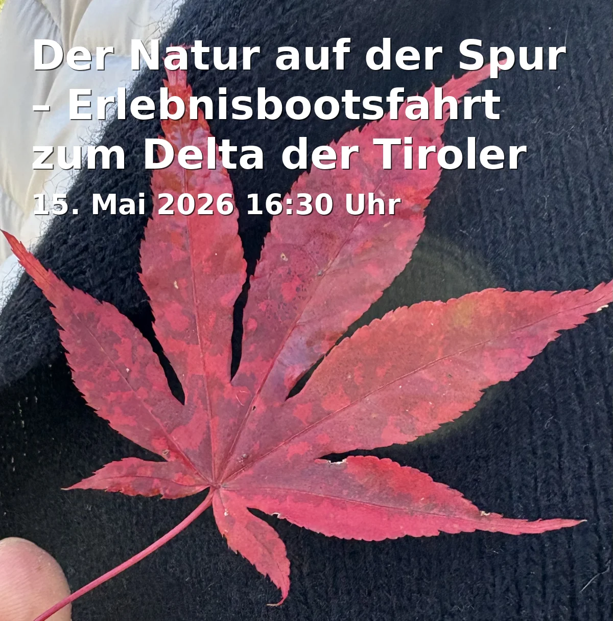 Event: Der Natur auf der Spur – Erlebnisbootsfahrt zum Delta der Tiroler Achen