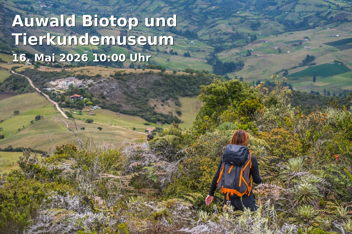 Event: Auwald Biotop und Tierkundemuseum