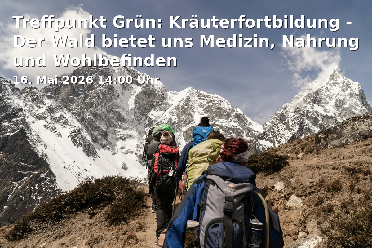 Event: Treffpunkt Grün: Kräuterfortbildung - Der Wald bietet uns Medizin, Nahrung und Wohlbefinden