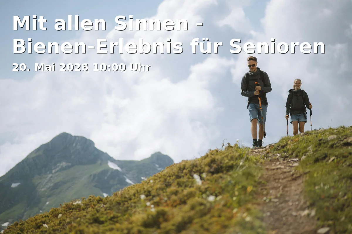 Event: With All the Senses - Bee Experience for Seniors