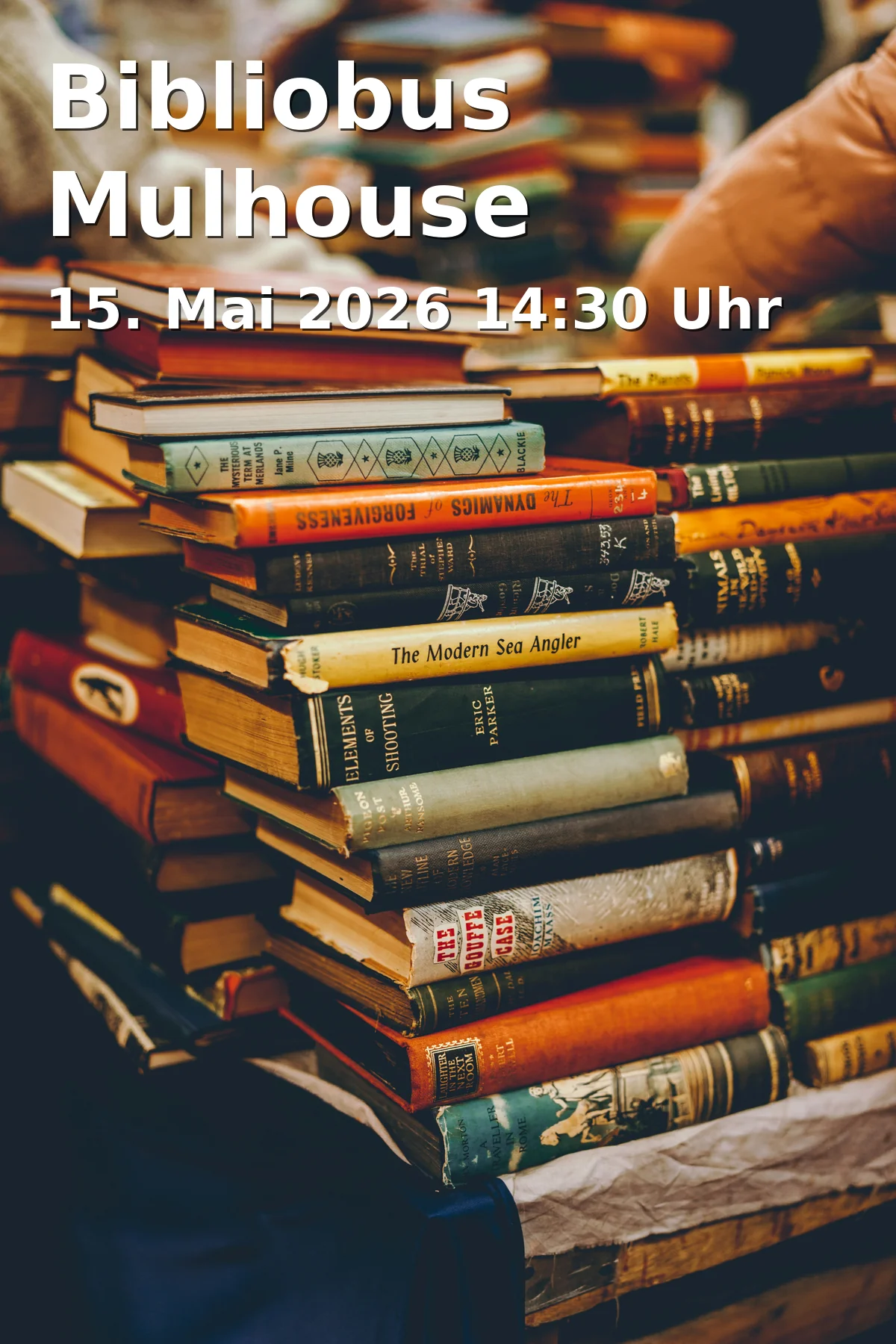 Bibliobus Mulhouse